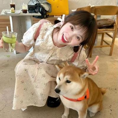 多龙芝